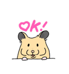 毎日使え！ハムスター！！（個別スタンプ：1）