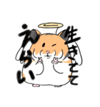 毎日使え！ハムスター！！（個別スタンプ：11）