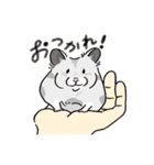 毎日使え！ハムスター！！（個別スタンプ：17）
