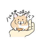 毎日使え！ハムスター！！（個別スタンプ：18）