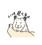 毎日使え！ハムスター！！（個別スタンプ：20）