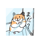 毎日使え！ハムスター！！（個別スタンプ：24）
