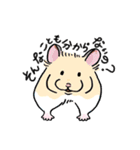 毎日使え！ハムスター！！（個別スタンプ：28）