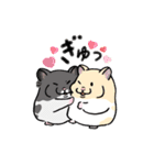 毎日使え！ハムスター！！（個別スタンプ：34）