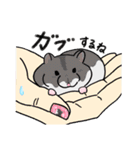 毎日使え！ハムスター！！（個別スタンプ：37）