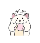 毎日使え！ハムスター！！（個別スタンプ：38）