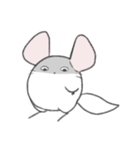 まるっとチンチラ①(ホワイト)（個別スタンプ：4）