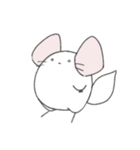 まるっとチンチラ①(ホワイト)（個別スタンプ：10）