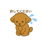 トイプードルのメロディー3（個別スタンプ：6）