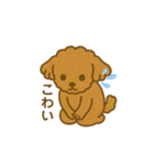 トイプードルのメロディー3（個別スタンプ：13）