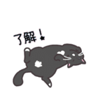 お嬢with実家ネコたち（個別スタンプ：3）