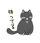 お嬢with実家ネコたち（個別スタンプ：13）