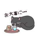 お嬢with実家ネコたち（個別スタンプ：21）