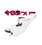 お嬢with実家ネコたち（個別スタンプ：27）