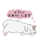 お嬢with実家ネコたち（個別スタンプ：29）