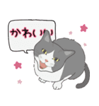 お嬢with実家ネコたち（個別スタンプ：30）