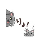 ロシアンブルーの猫ちゃんスタンプ（個別スタンプ：24）