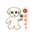 チワプーCIELくん（個別スタンプ：1）