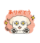 チワプーCIELくん（個別スタンプ：5）