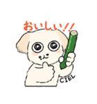 チワプーCIELくん（個別スタンプ：8）