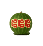 動くスイカ/中日双語會動！西瓜貼圖12（個別スタンプ：5）