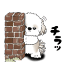 シーズー犬 2025 「リアクション」（個別スタンプ：2）