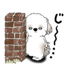 シーズー犬 2025 「リアクション」（個別スタンプ：3）