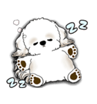 シーズー犬 2025 「リアクション」（個別スタンプ：5）