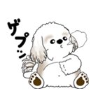 シーズー犬 2025 「リアクション」（個別スタンプ：7）