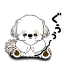 シーズー犬 2025 「リアクション」（個別スタンプ：8）