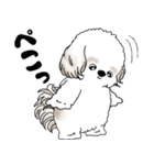 シーズー犬 2025 「リアクション」（個別スタンプ：9）
