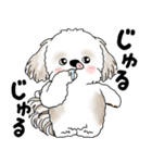 シーズー犬 2025 「リアクション」（個別スタンプ：11）