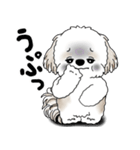 シーズー犬 2025 「リアクション」（個別スタンプ：12）