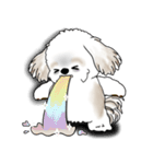 シーズー犬 2025 「リアクション」（個別スタンプ：16）