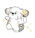 シーズー犬 2025 「リアクション」（個別スタンプ：17）