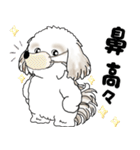 シーズー犬 2025 「リアクション」（個別スタンプ：18）
