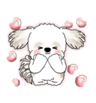 シーズー犬 2025 「リアクション」（個別スタンプ：21）