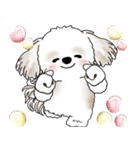シーズー犬 2025 「リアクション」（個別スタンプ：22）