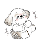 シーズー犬 2025 「リアクション」（個別スタンプ：25）
