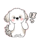 シーズー犬 2025 「リアクション」（個別スタンプ：26）