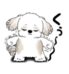 シーズー犬 2025 「リアクション」（個別スタンプ：27）