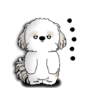 シーズー犬 2025 「リアクション」（個別スタンプ：28）