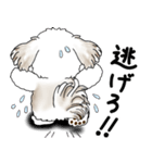 シーズー犬 2025 「リアクション」（個別スタンプ：30）