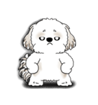 シーズー犬 2025 「リアクション」（個別スタンプ：32）