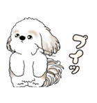 シーズー犬 2025 「リアクション」（個別スタンプ：36）