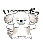 シーズー犬 2025 「リアクション」（個別スタンプ：39）