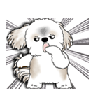 シーズー犬 2025 「リアクション」（個別スタンプ：40）