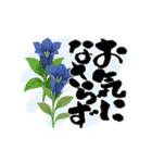 動く！秋の花とみやすい筆文字 絵手紙風（個別スタンプ：13）