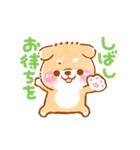 動くこしばちゃん4❤️柴犬子育て児赤ちゃん（個別スタンプ：17）