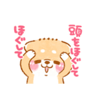 動くこしばちゃん4❤️柴犬子育て児赤ちゃん（個別スタンプ：19）